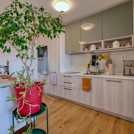 Eco Friendly Artemisia Apartmán Zadar