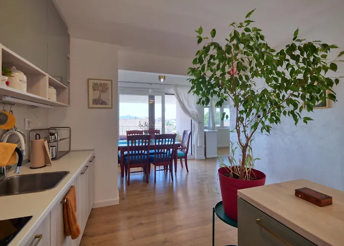 Eco Friendly Artemisia Zadar