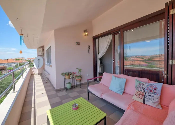 Eco Friendly Artemisia *