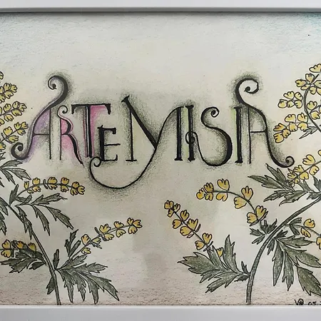 Eco Friendly Artemisia Appartamento Zara