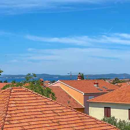 Eco Friendly Artemisia * Zara