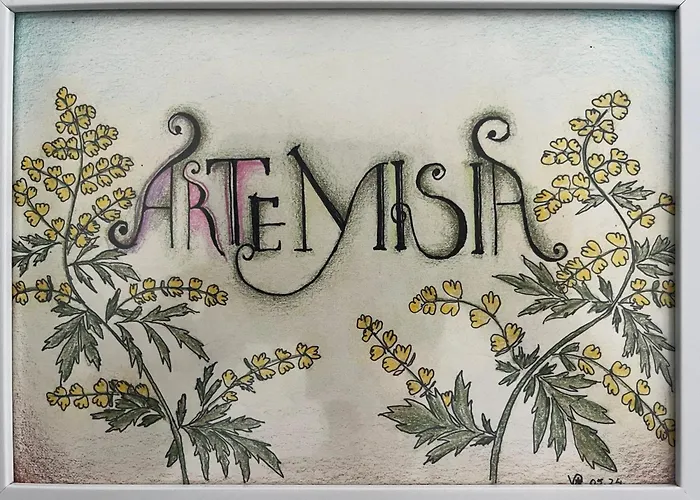 Eco Friendly Artemisia דירה זאדאר